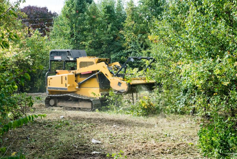 Brush Clearing Service in Houston, TX