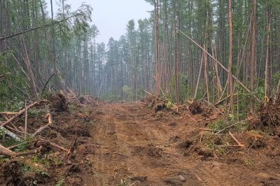 Commercial Property Clearing in Atlanta, GA