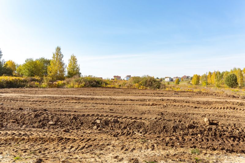 Easement Land Clearing in Houston, TX